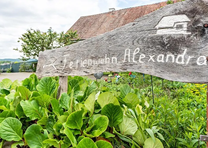 Alexandra 아파트 라인펠덴